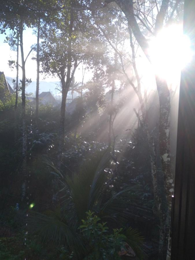 Winterhome Homestay Munnar Extérieur photo