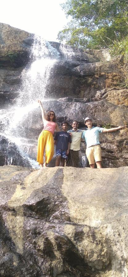 Winterhome Homestay Munnar Extérieur photo