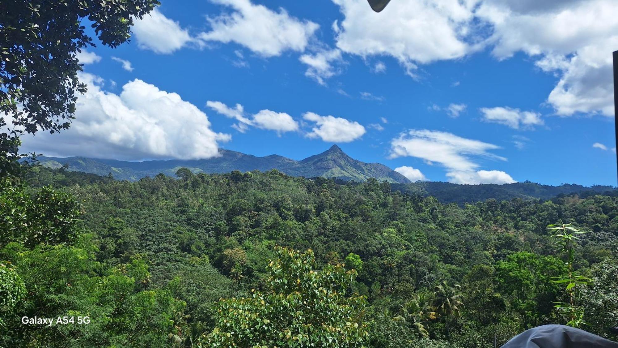 Winterhome Homestay Munnar Chambre photo